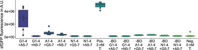 HyperXpress: Rapid Single Vessel DNA Assembly and Protein Production in Microliterscale